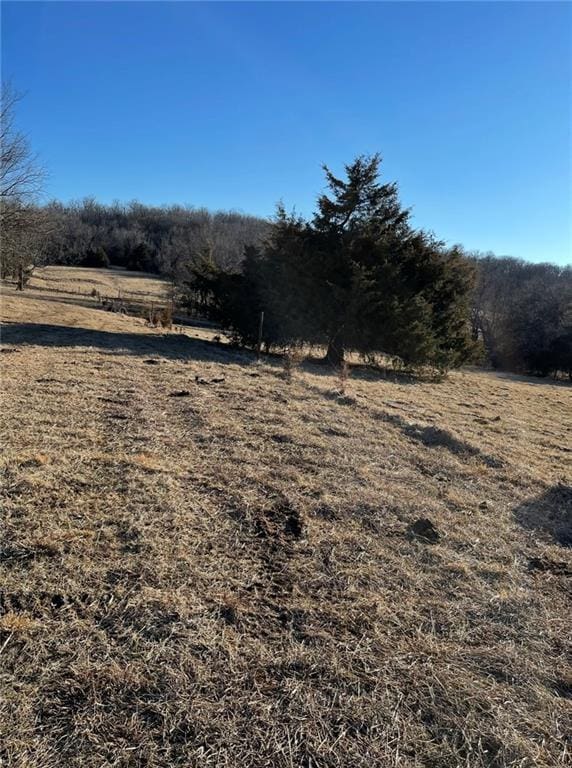 1523 Doty School Rd, Bates City, MO 64011