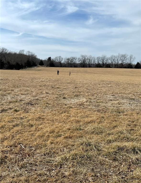 1523 Doty School Rd, Bates City, MO 64011