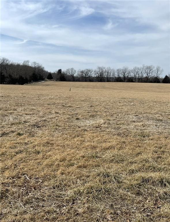 1523 Doty School Rd, Bates City, MO 64011 - photo 4