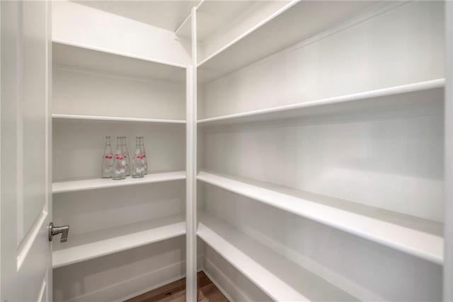 24110 W 95th St, Lenexa, KS 66227 - view of pantry