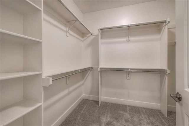 24110 W 95th St, Lenexa, KS 66227 - walk in closet featuring carpet