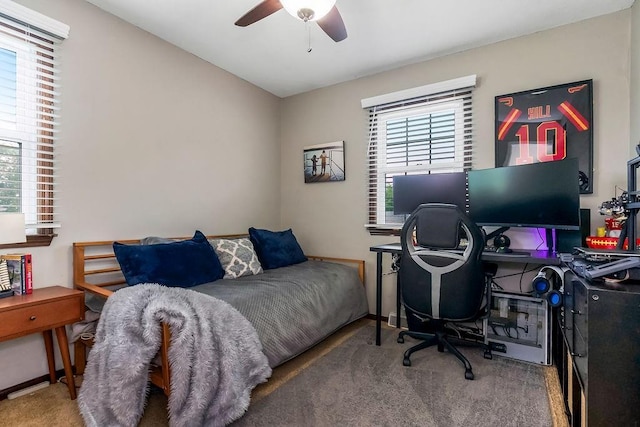 709 S 9th St, Louisburg, KS 66053 - bedroom featuring multiple windows, carpet floors, and ceiling fan