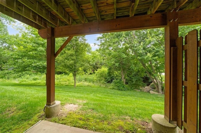 3568 NE Austin Dr, Lees Summit, MO 64064 - view of grassy yard