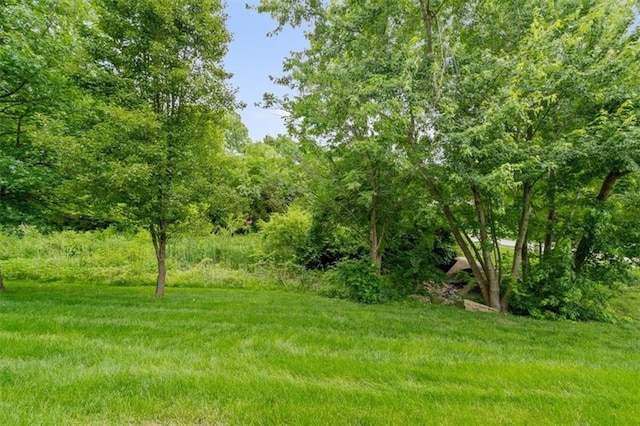 3568 NE Austin Dr, Lees Summit, MO 64064 - view of yard