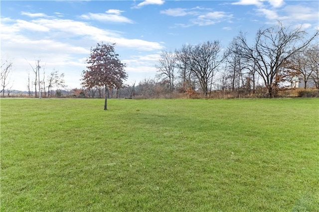 501 NW 101st Rd, Warrensburg, MO 64093 - view of grassy yard