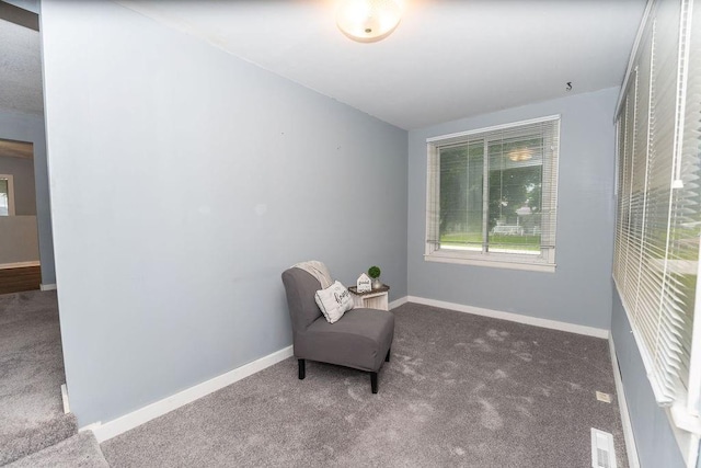 103 N Missouri St, Adrian, MO 64720 - sitting room featuring carpet floors