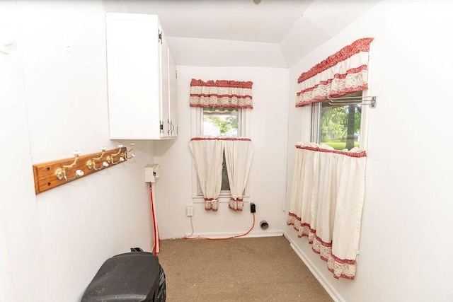103 N Missouri St, Adrian, MO 64720 - laundry room featuring carpet floors