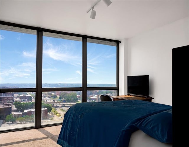 600 Admiral Blvd Unit 1505, Kansas City, MO 64106 - bedroom featuring a wall of windows, carpet flooring, and rail lighting