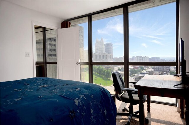 600 Admiral Blvd Unit 1505, Kansas City, MO 64106 - bedroom with multiple windows, carpet floors, and a wall of windows