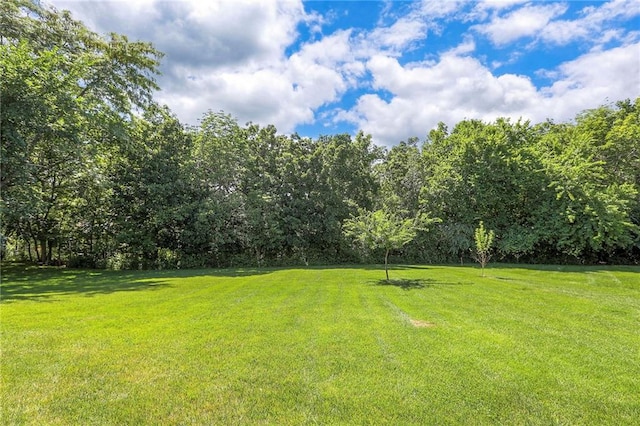 16042 Overbrook Ln, Stilwell, KS 66085 - view of grassy yard