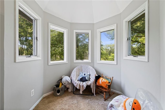 414 N 4th St, Gower, MO 64454 - sunroom / solarium featuring vaulted ceiling