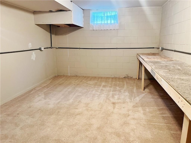 3342 Duncan St, Saint Joseph, MO 64507 - basement featuring carpet floors