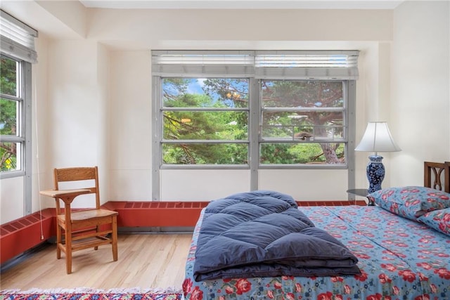 333 W Meyer Blvd # 212, Kansas City, MO 64113 - bedroom with multiple windows and wood finished floors