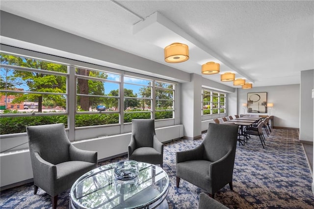 333 W Meyer Blvd # 212, Kansas City, MO 64113 - living room with a textured ceiling and baseboards