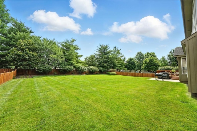 2312 NE Sweet Water Dr, Lees Summit, MO 64086 - view of fenced backyard