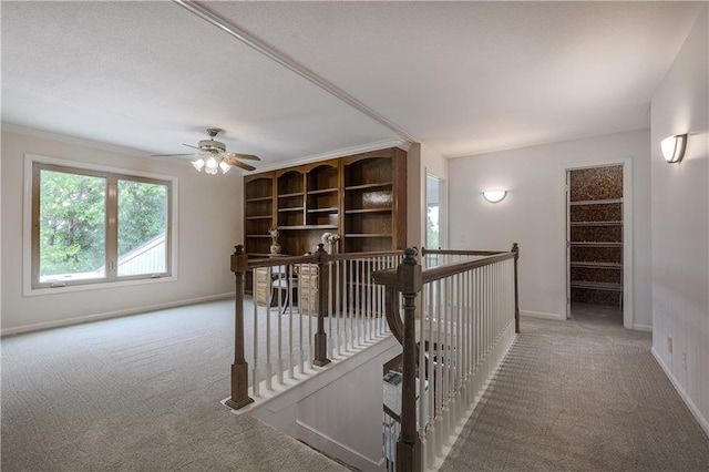 26528-23.09 S Metcalf Rd, Louisburg, KS 66053 - hall with an upstairs landing, carpet floors, and crown molding
