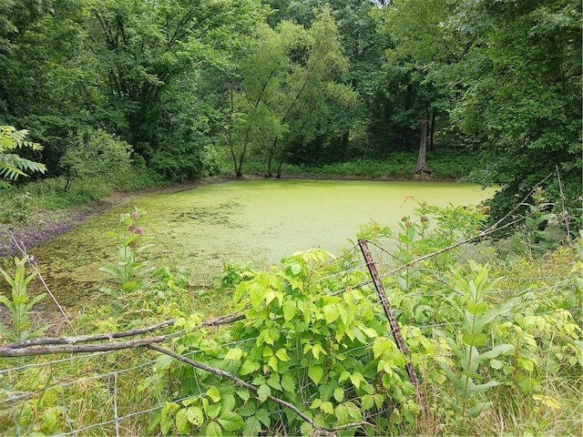 871 SW 301st Rd, Chilhowee, MO 64733 - photo 26