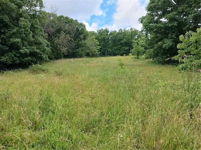 871 SW 301st Rd, Chilhowee, MO 64733 - photo 34