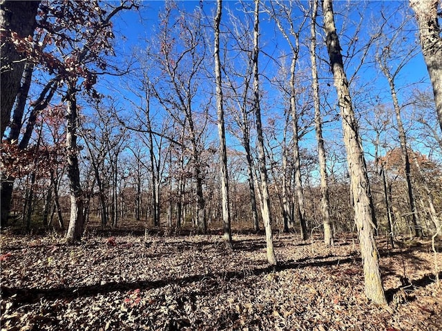 871 SW 301st Rd, Chilhowee, MO 64733 - photo 38