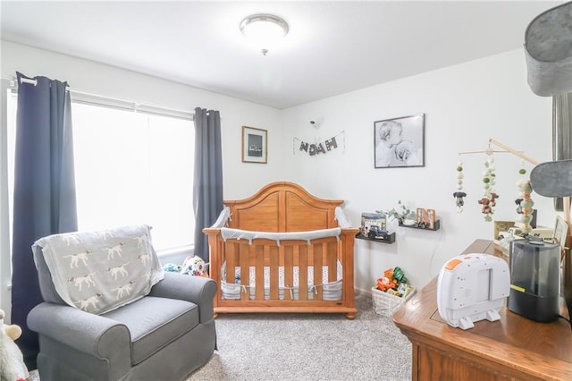 580 SE 110th St, Warrensburg, MO 64093 - bedroom featuring carpet floors