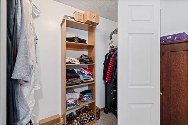 606 S Thornton St, Richmond, MO 64085 - spacious closet featuring carpet