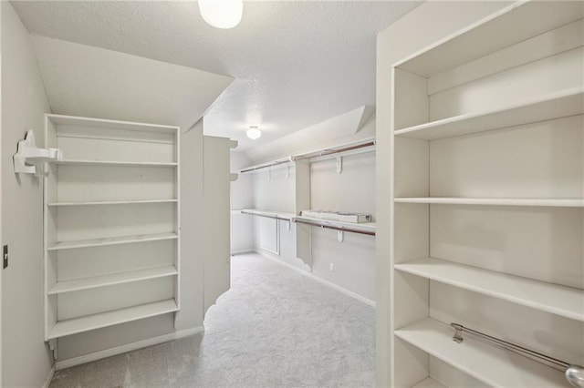12909 Maple St, Overland Park, KS 66209 - spacious closet with carpet flooring