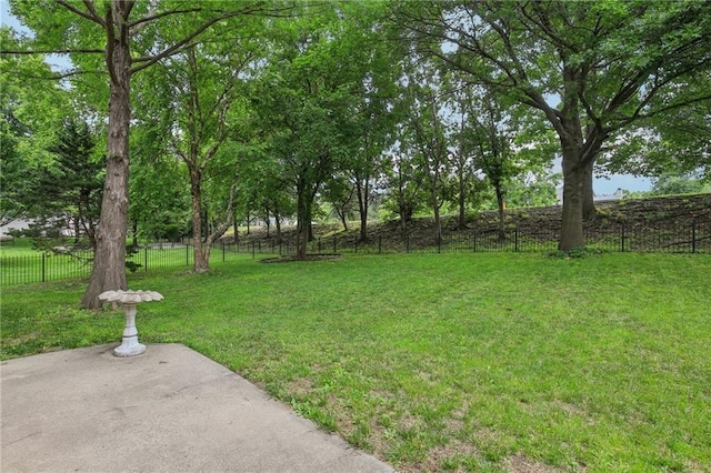 12909 Maple St, Overland Park, KS 66209 - view of yard