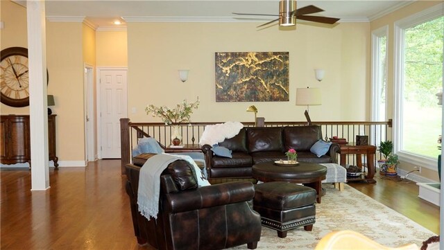 14780 S Glen Eyrie St, Olathe, KS 66061 - living area with wood finished floors, a ceiling fan, plenty of natural light, and crown molding