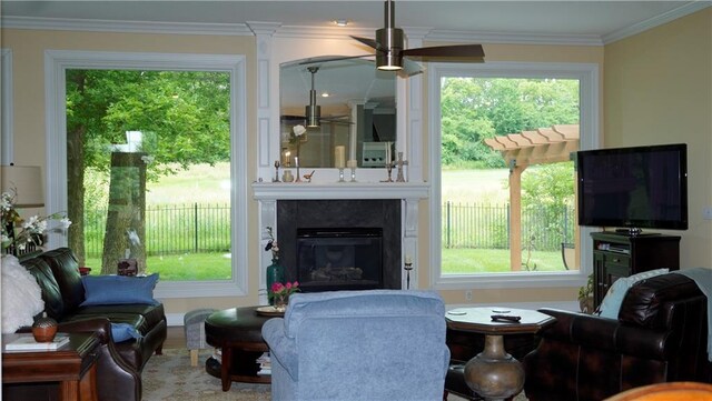14780 S Glen Eyrie St, Olathe, KS 66061 - living room featuring a ceiling fan, crown molding, a fireplace, and plenty of natural light