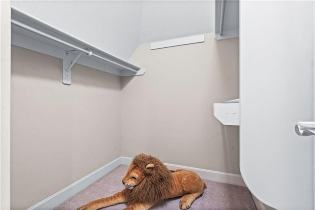 4204 SW Duck Pond Dr, Lees Summit, MO 64082 - walk in closet featuring carpet flooring