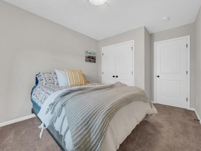 21818 W 123rd Ter, Olathe, KS 66061 - bedroom featuring carpet and a closet
