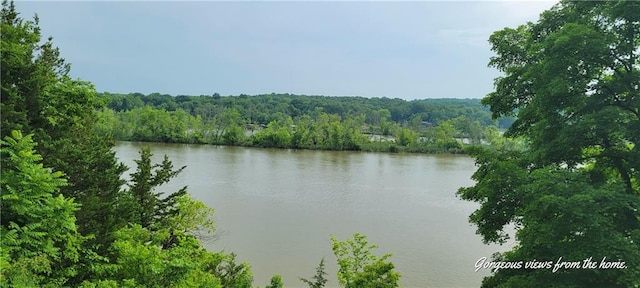 28767 Parkway Dr, Warsaw, MO 65355 - water view with a forest