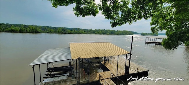 28767 Parkway Dr, Warsaw, MO 65355 - dock featuring a water view and a view of trees