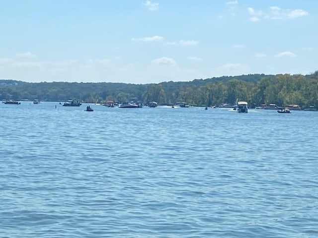 28767 Parkway Dr, Warsaw, MO 65355 - water view featuring a heavily wooded area