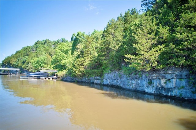 28767 Parkway Dr, Warsaw, MO 65355 - water view featuring a heavily wooded area