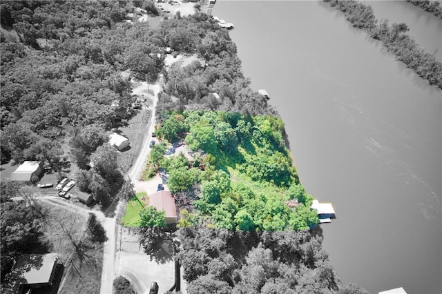 28767 Parkway Dr, Warsaw, MO 65355 - drone / aerial view of a nearby body of water and a forest
