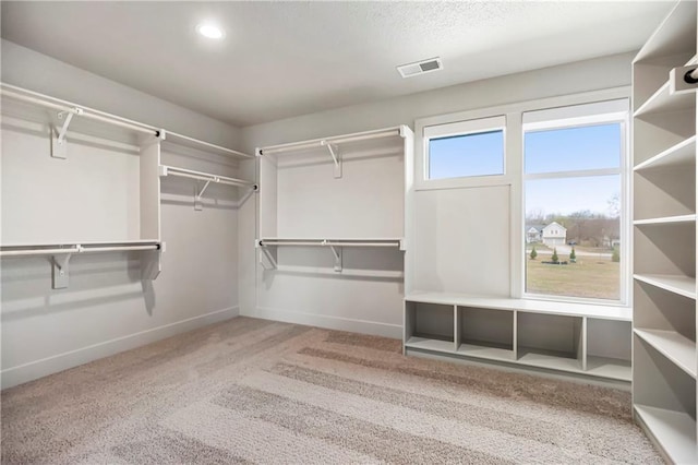 12400 W 184th St, Overland Park, KS 66013 - walk in closet with carpet flooring