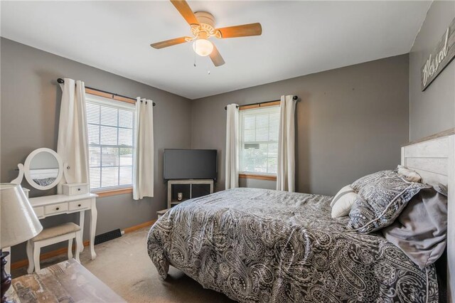 1209 Crest Dr, Pleasant Hill, MO 64080 - photo 17