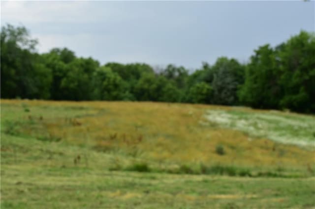 31212 E Webster Rd, Grain Valley, MO 64029 - view of local wilderness with rural landscape