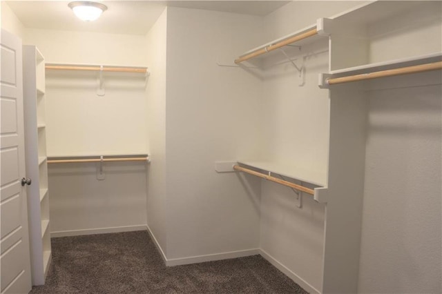 19444 W 114th Ter, Olathe, KS 66061 - walk in closet featuring dark carpet