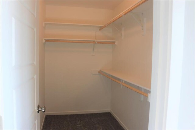19444 W 114th Ter, Olathe, KS 66061 - walk in closet featuring dark colored carpet