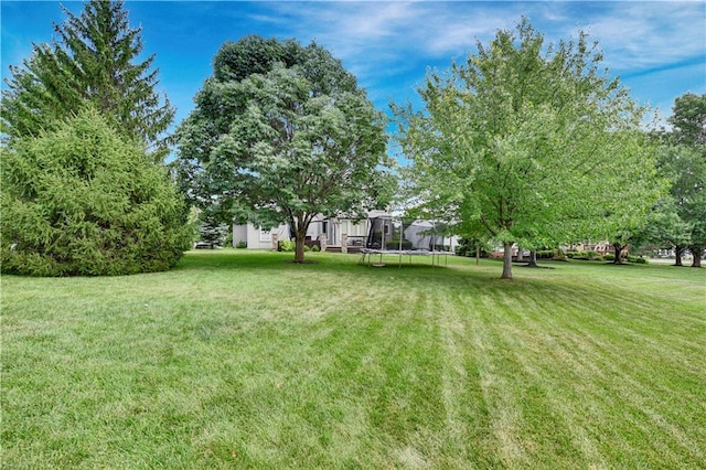 11378 S Cook St, Olathe, KS 66061 - photo 45