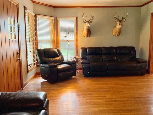 406 S 6th St, Burlington, KS 66839 - living room featuring wood finished floors and crown molding