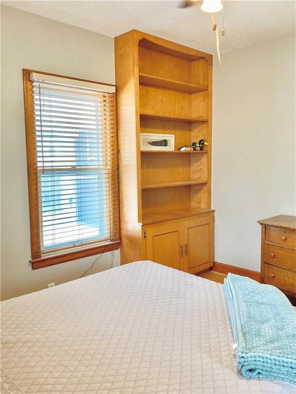406 S 6th St, Burlington, KS 66839 - bedroom featuring multiple windows and ceiling fan