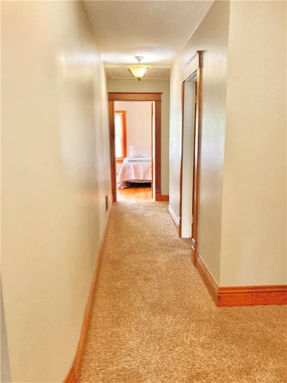 406 S 6th St, Burlington, KS 66839 - corridor featuring light carpet and baseboards