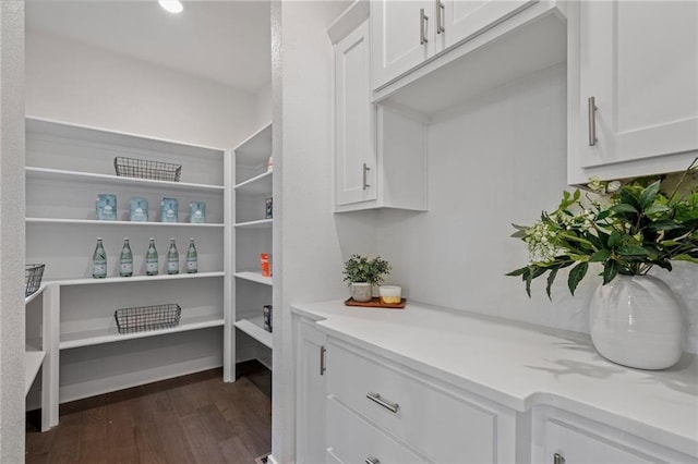 19345 W 114th Ter, Olathe, KS 66061 - view of storage area