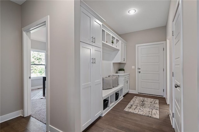 19345 W 114th Ter, Olathe, KS 66061 - mudroom featuring dark wood finished floors and recessed lighting
