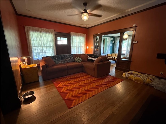 3112 N 155th St, Basehor, KS 66007 - living room with a ceiling fan, wood finished floors, a textured ceiling, and ornamental molding