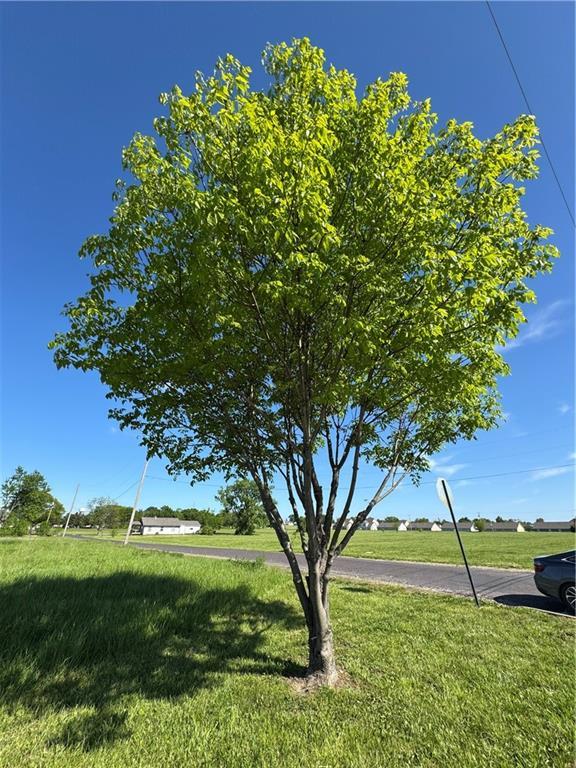 1025 E Grant St, Ottawa, KS 66067 - photo 1