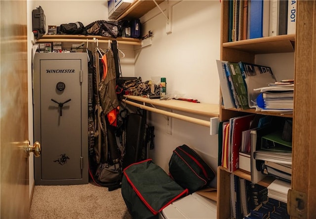 11669 S Parkwood Dr, Olathe, KS 66061 - view of storage room